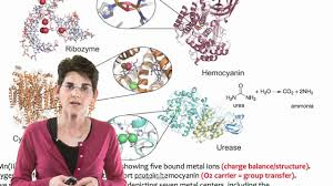 millicentjebet.gnomio.com